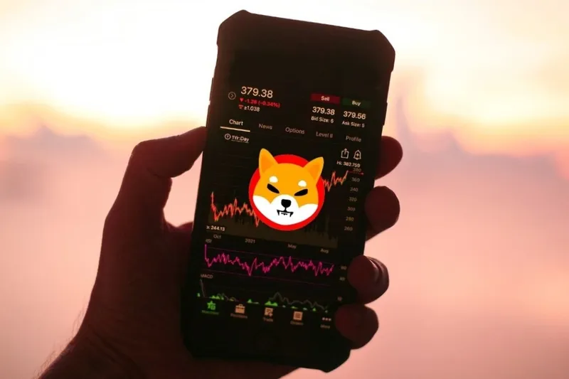 Shiba Inu: ¿Qué salió mal y puede recuperarse?