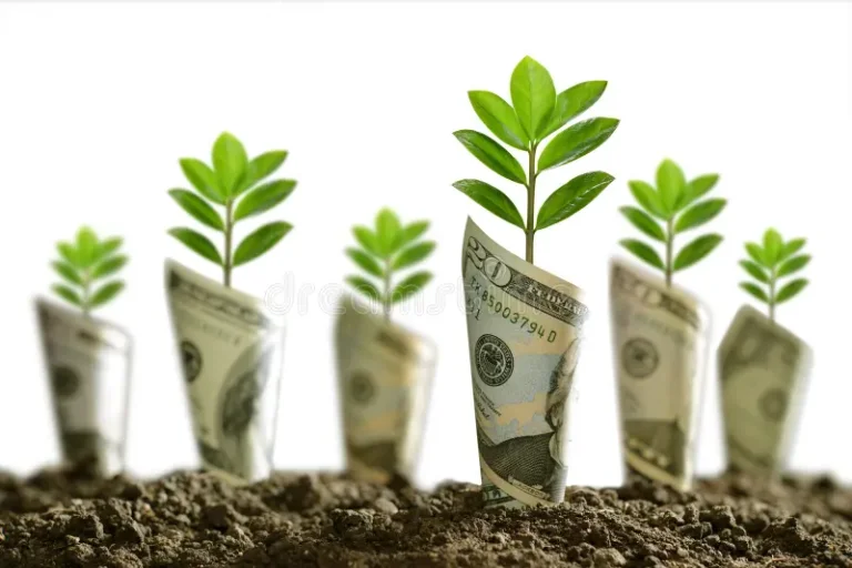 la-imagen-de-billetes-banco-rodó-alrededor-las-plantas-en-el-suelo-para-negocio-ahorro-crecim...webp la-imagen-de-billetes-banco-rodó-alrededor-las-plantas-en-el-suelo-para-negocio-ahorro-crecim...webp